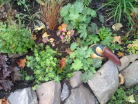 /album/rusticgarden/projekti-2209-2-jpg/